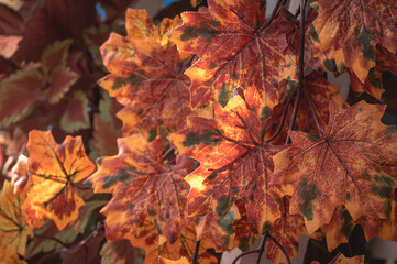 Naklejka na ściany i meble Artificial maple leaves as autumn background.