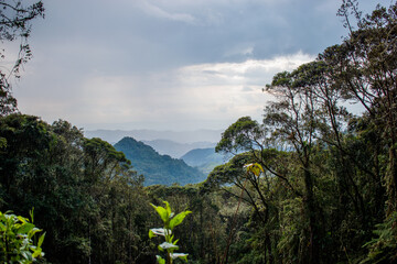 Paisaje arboles nubes 