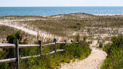 fence in the dunes