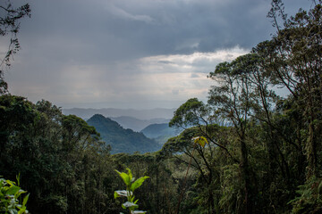 Paisaje arboles nubes 