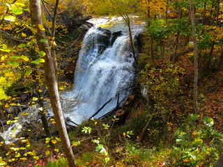 waterfall in autumn