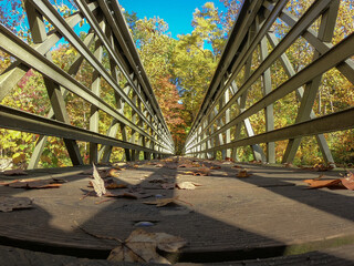 bridge over the river