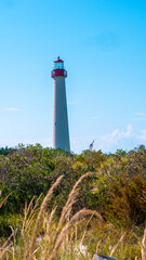 lighthouse on the coast of state
