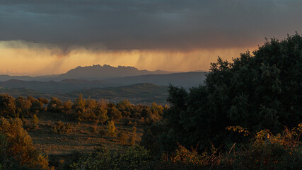 Forest landscape with the mountain of Montserrat in the background
