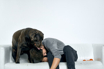 Male owner play with the dog on the couch training fun light room friends pet