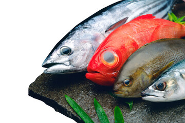 鮮魚