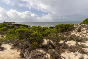 unas vistas de la bella playa de Mazagon, situada en la provincia de Huelva,Espa&ntilde;a.Con sus acantilados,pinos,dunas ,vegetacion y un cielo con nubes