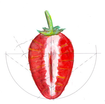 Ovoide_Invertido_Eje_Mayor_Fresa