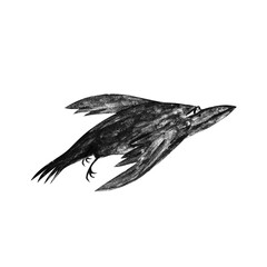 black crow, flies like a rocket, funny illustration, for children, hand drawing with texture
