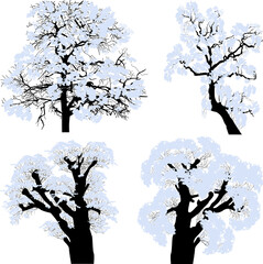 four trees in blue snow isolated on white