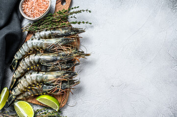 Fresh tiger shrimps, prawns with spices and herbs on a cutting board. Gray background. Top view. Copy space
