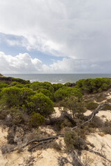 unas vistas de la bella playa de Mazagon, situada en la provincia de Huelva,España.Con sus acantilados,pinos,dunas ,vegetacion y un cielo con nubes