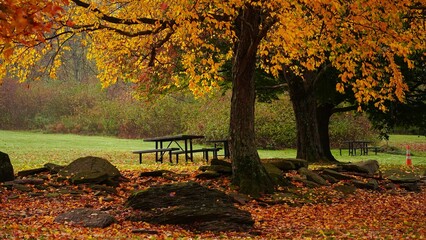 Fototapeta na wymiar Autumn background with beautiful fall colors