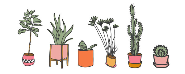 houseplants and succulents pot plants set vector illustration