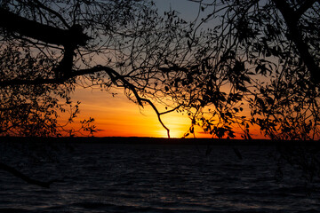 Seascape photo in the twilight with silhouette of tree branches and foliage on the foreground and sunset over the horizon on the background