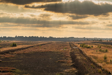 Moorlandschaft im Emsland