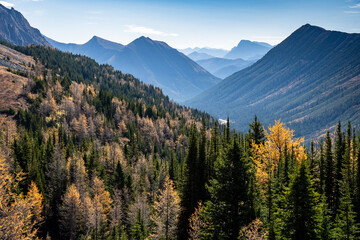 Canadian Rocky Mountains in fall colours with early morning haze.