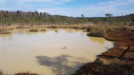 Walk along the sulfur springs. 