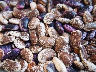 close up of beans
