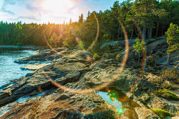 Fototapete bei efototapeten.de bestellen   