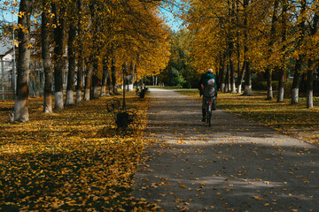 Fototapeta premium walking in the park