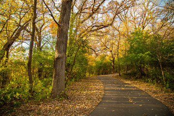 Naklejka premium Autumn Road
