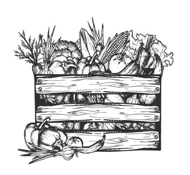 Vegetables in wood crate still life