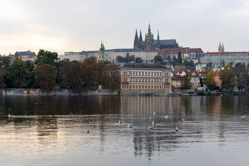 Vltava river and Prague Castle St. Vitus Cathedral and Charles Bridge in the center of Prague at sunset. there are reflections on the river surface and the sky is illuminated by the sun