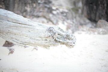 Beach walking footprints, island, life, logs, wood, white.