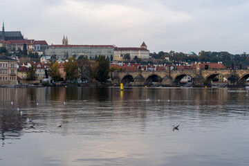 Vltava river and Prague Castle St. Vitus Cathedral and Charles Bridge in the center of Prague at sunset. there are reflections on the river surface and the sky is illuminated by the sun