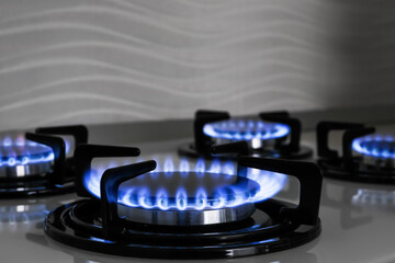 Modern gas cooktop with burning blue flames in kitchen