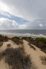 unas vistas de la bella playa de Mazagon, situada en la provincia de Huelva,España.Con sus acantilados,pinos,dunas ,vegetacion verde y un cielo con nubes