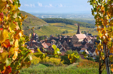 Vignes d'automne