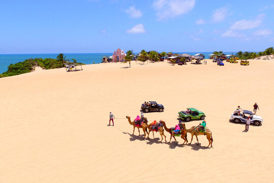 Passeios com dromed&aacute;rio m&iacute;nguam nas dunas de Genipabu, litoral do RN.