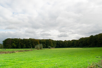 Fototapeta premium Meadow landscape next to Amelisweerd