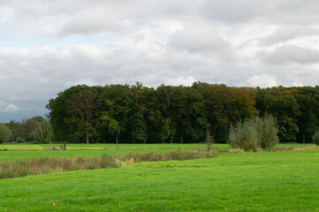 Meadow landscape next to Amelisweerd