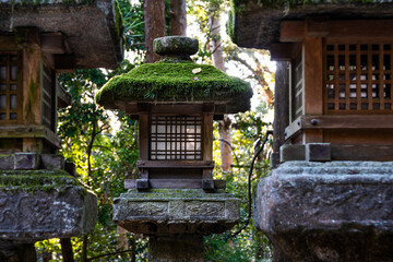 Stone and wood lantern at shrine in Japan.