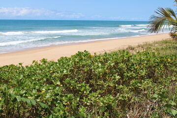 Desert Beach in Brazil