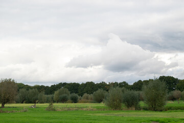 Fototapeta na wymiar Meadow landscape next to Amelisweerd