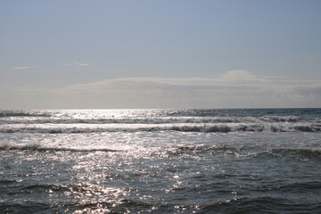 Desert Beach in Brazil