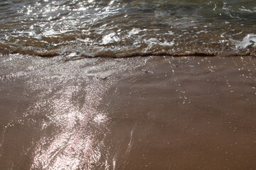 Desert Beach in Brazil