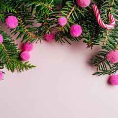 Decorative frame of fir branches and pink holly berries