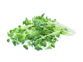 heap of alfalfa sprouts on white background