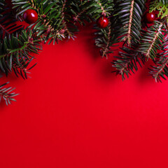 Creative layout made of Christmas tree branches on red background.