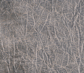 Wallpaper leaves on concrete 