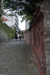 Fototapeta premium 赤レンガ塀と石畳