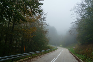 Fototapeta premium Empty road in misty mountain day between trees and forest balkan mountain