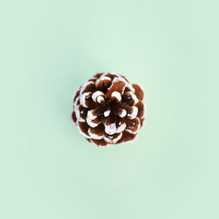 Snowy Christmas pine cone on green background. Minimalistic Christmas concept