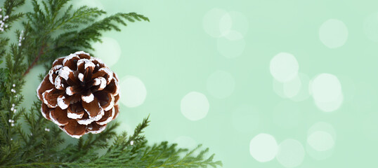 Christmas background with pine cone and copy space