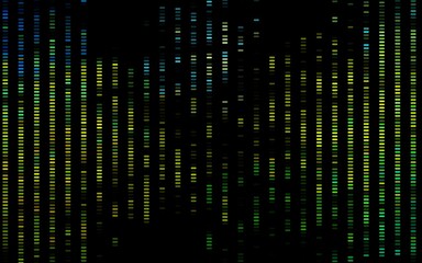 Dark Blue, Yellow vector backdrop with long lines.